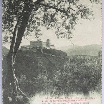 cartolina